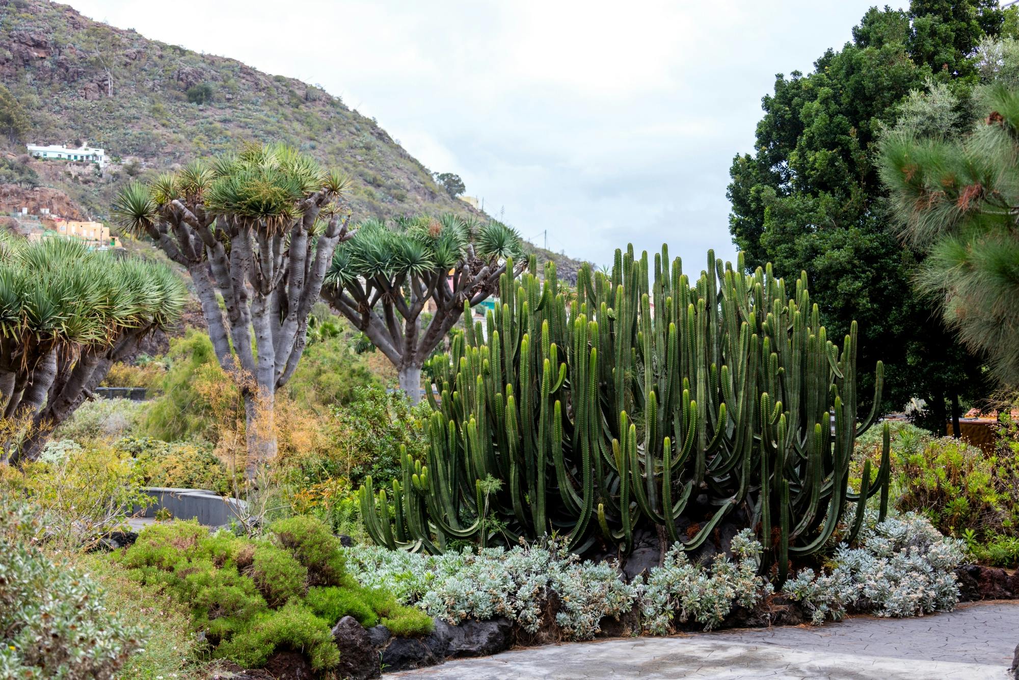 Sites & Bites: Gran Canaria botanical garden and fresh fruits