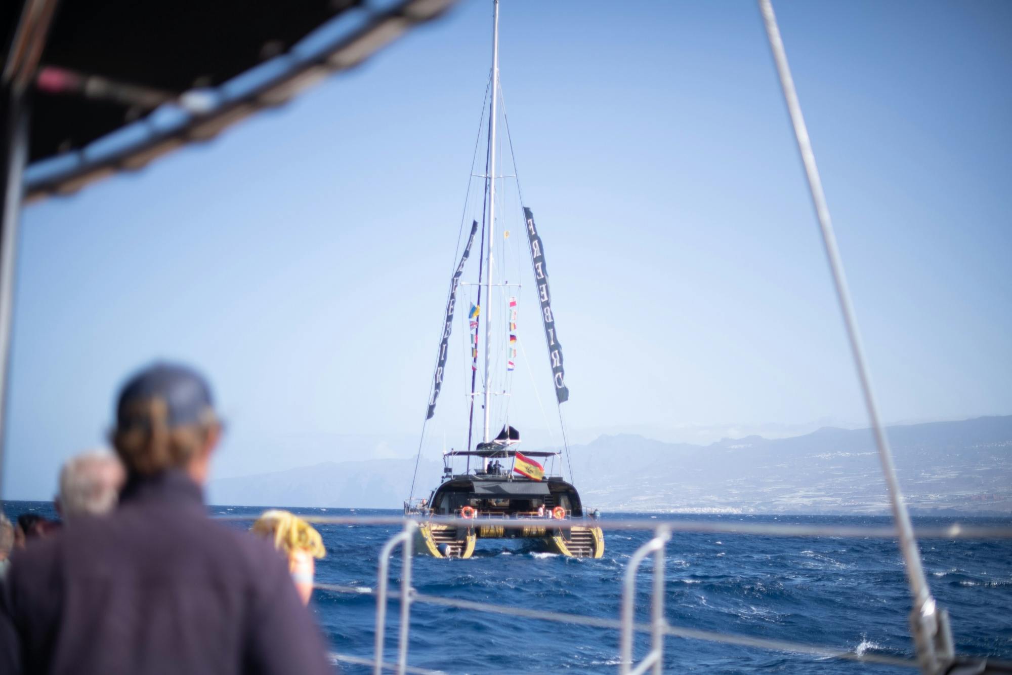 Adults only half-day Tenerife Freebird whale and dolphin catamaran