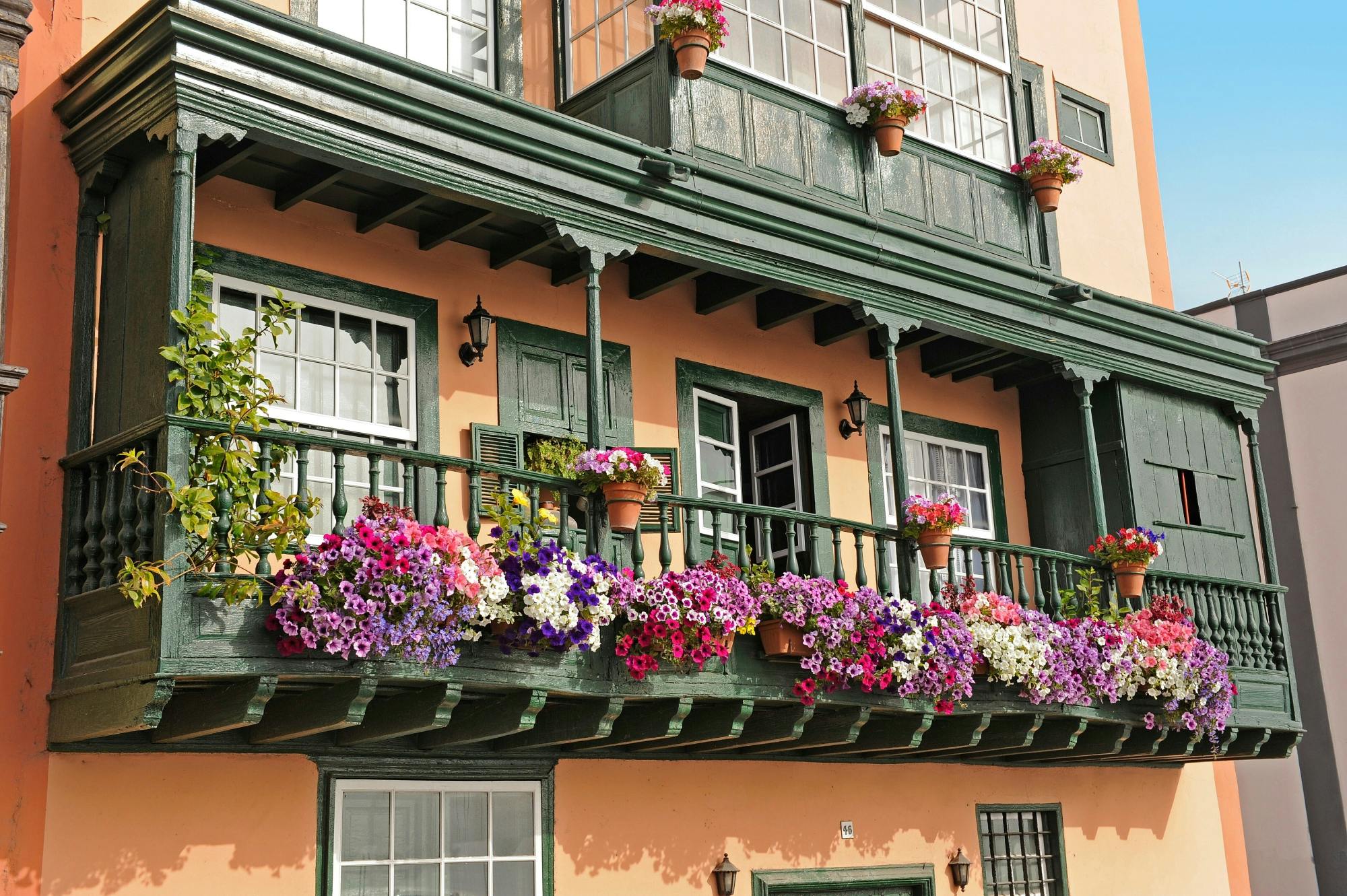 Northeast La Palma tour with Charco Azul and rum tasting