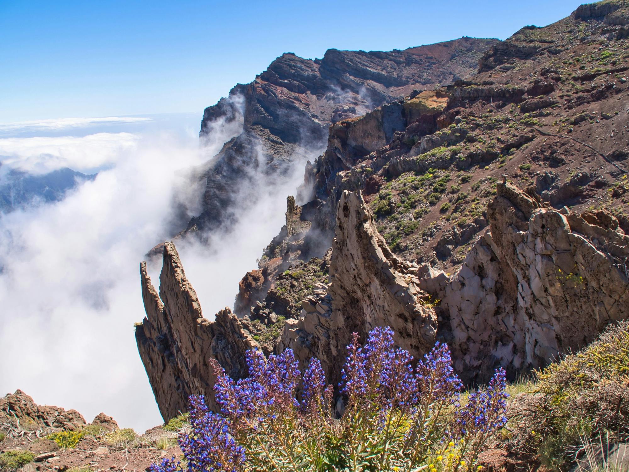 Full-day tour of northern La Palma with Roque de los Muchachos