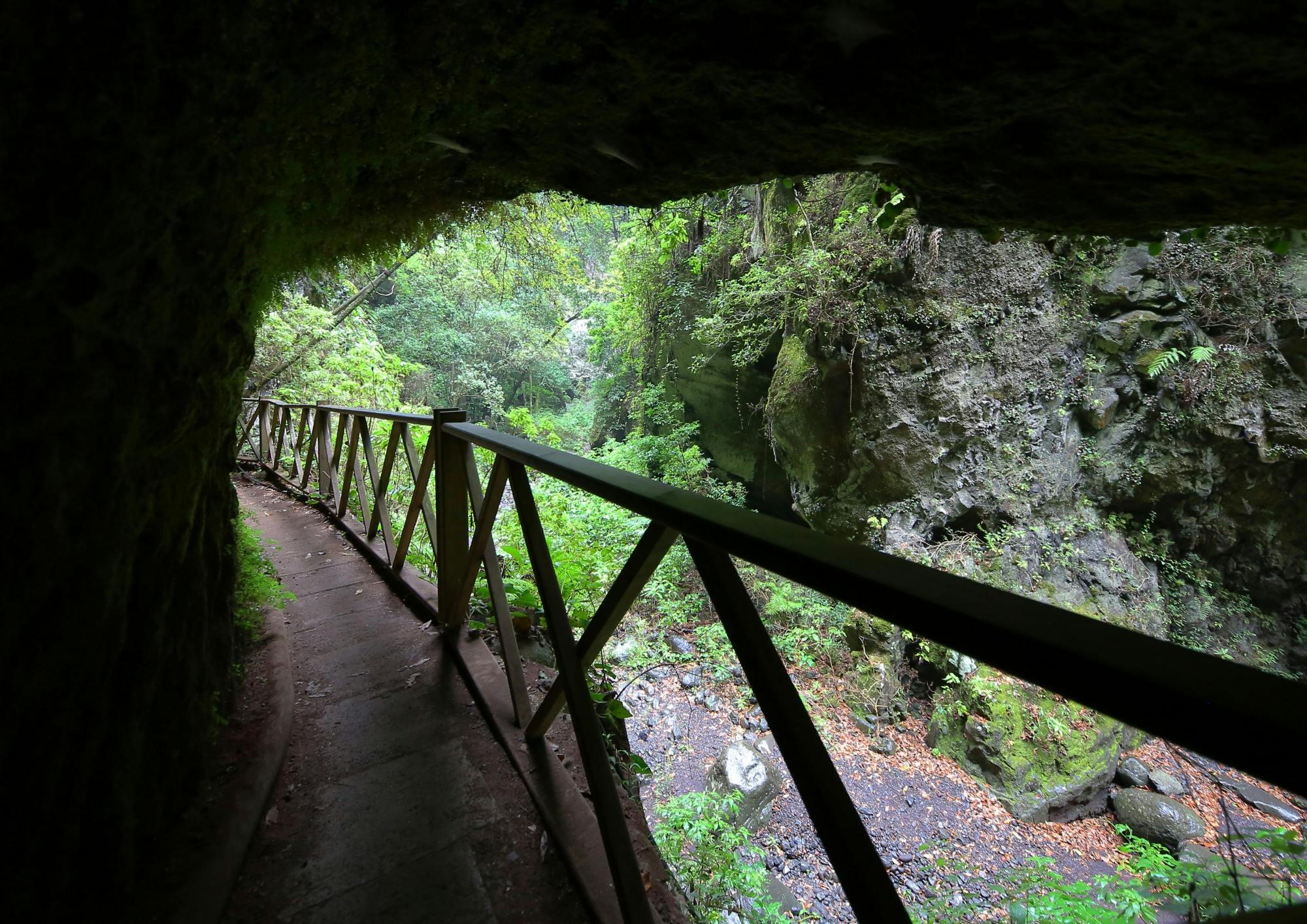 Northeast La Palma tour with Charco Azul and rum tasting