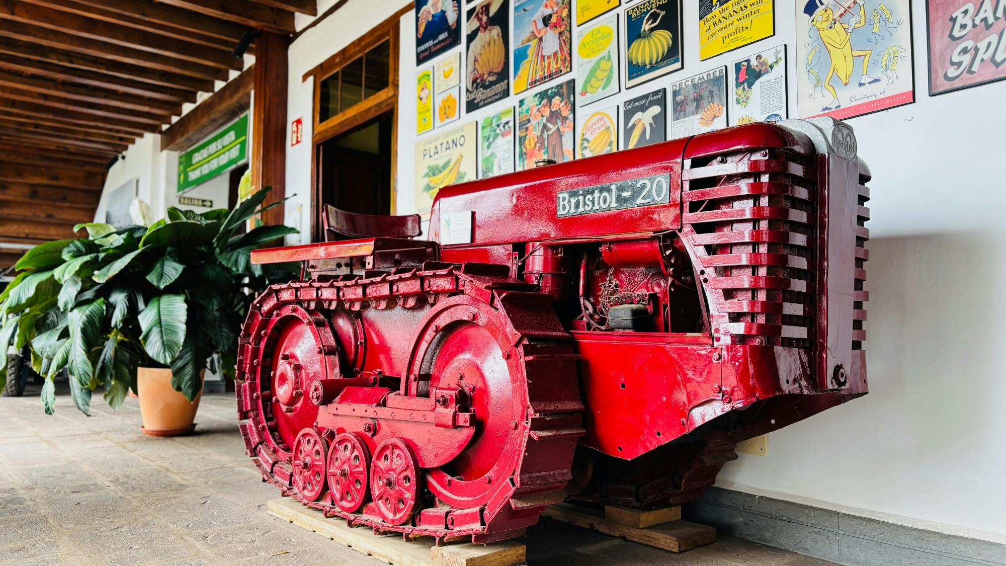 Tenerife discovery excursion - culture & flavours