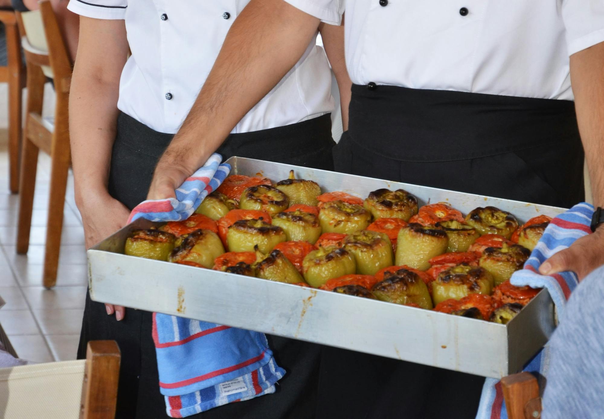 Skiathos dog shelter visit, hill walk and Greek cooking tour