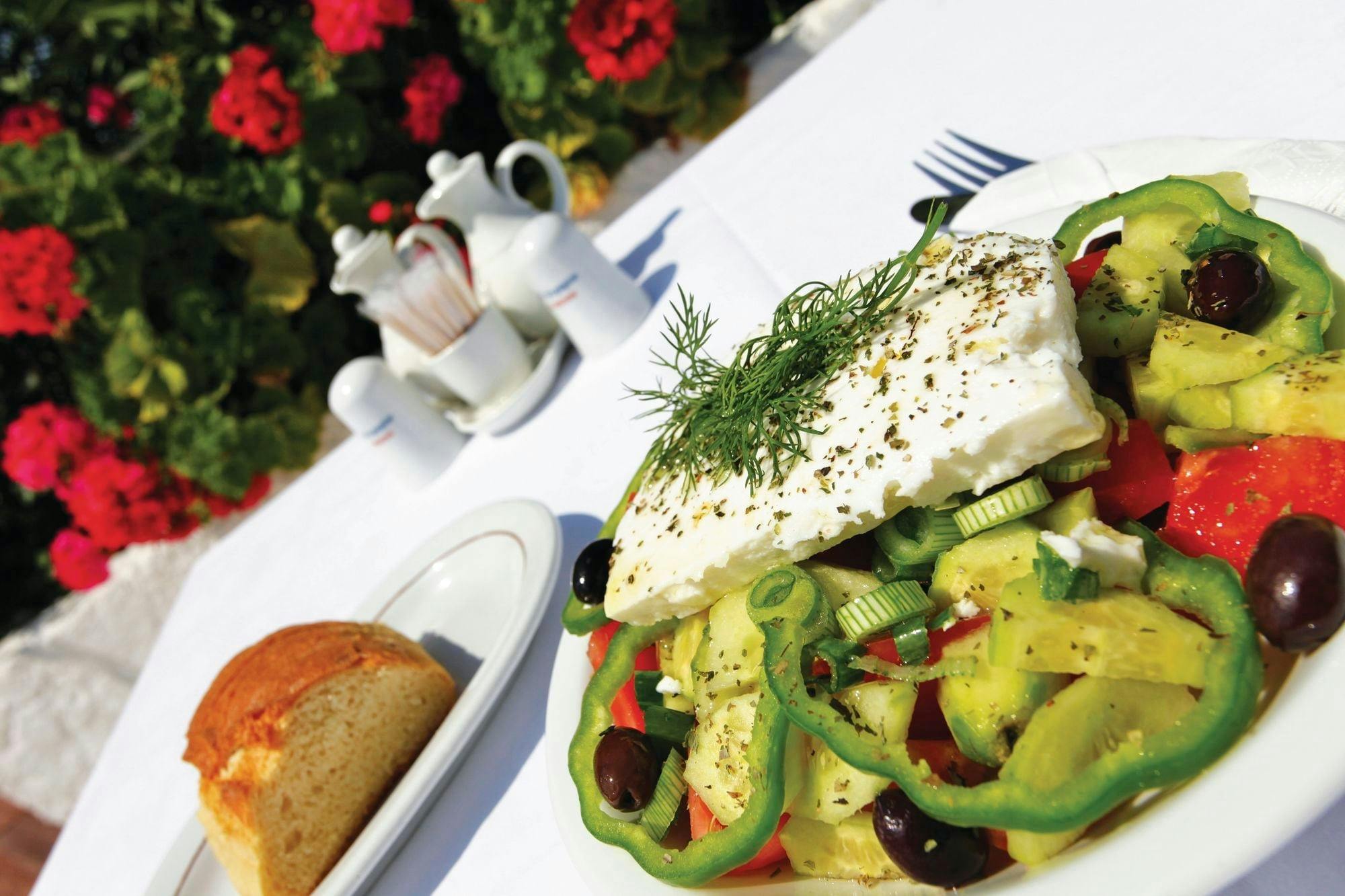 Skiathos dog shelter visit, hill walk and Greek cooking tour