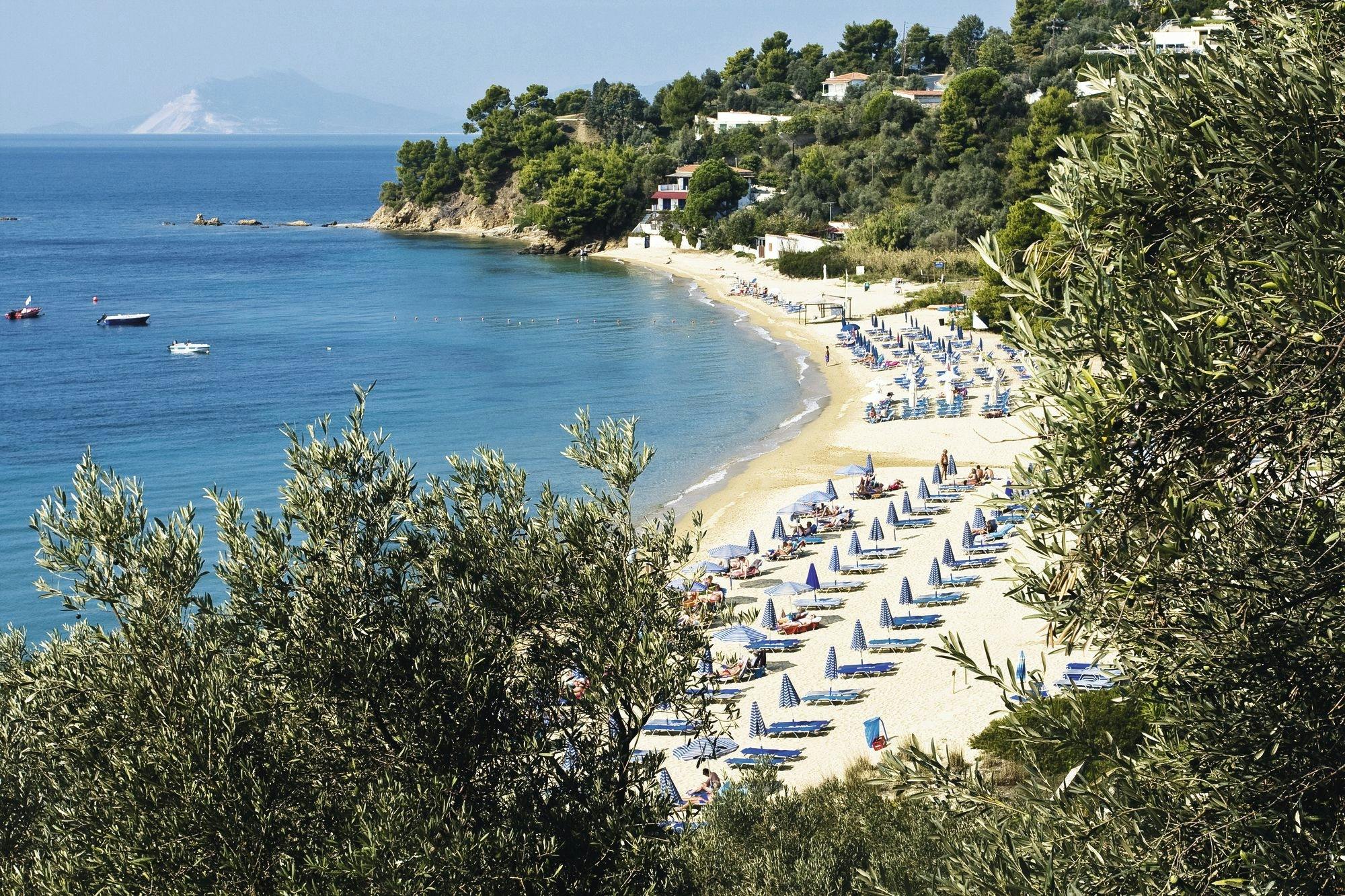 Skiathos dog shelter visit, hill walk and Greek cooking tour