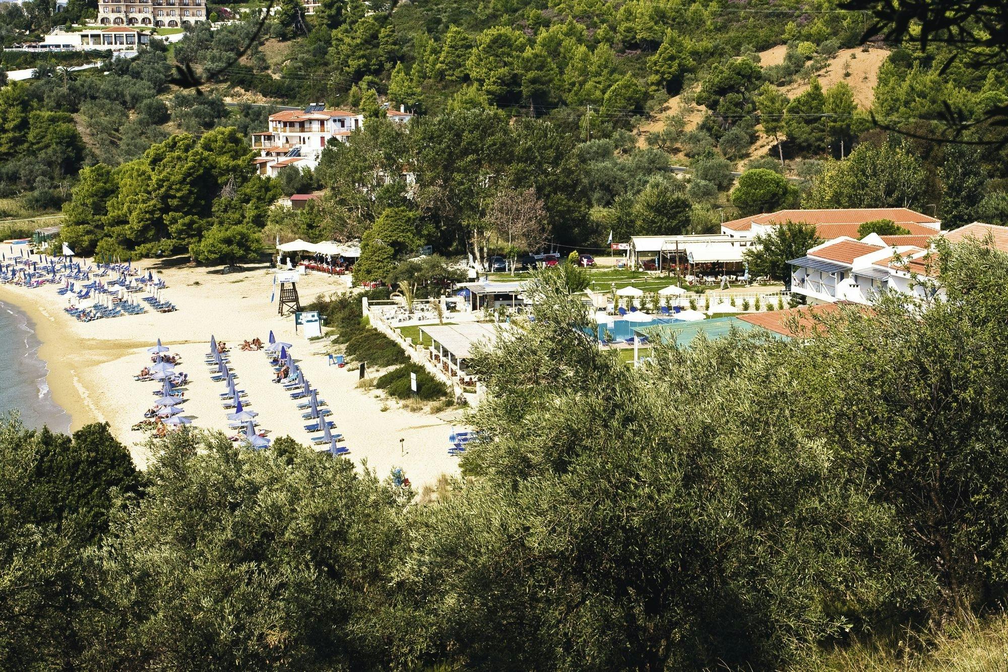 Skiathos dog shelter visit, hill walk and Greek cooking tour