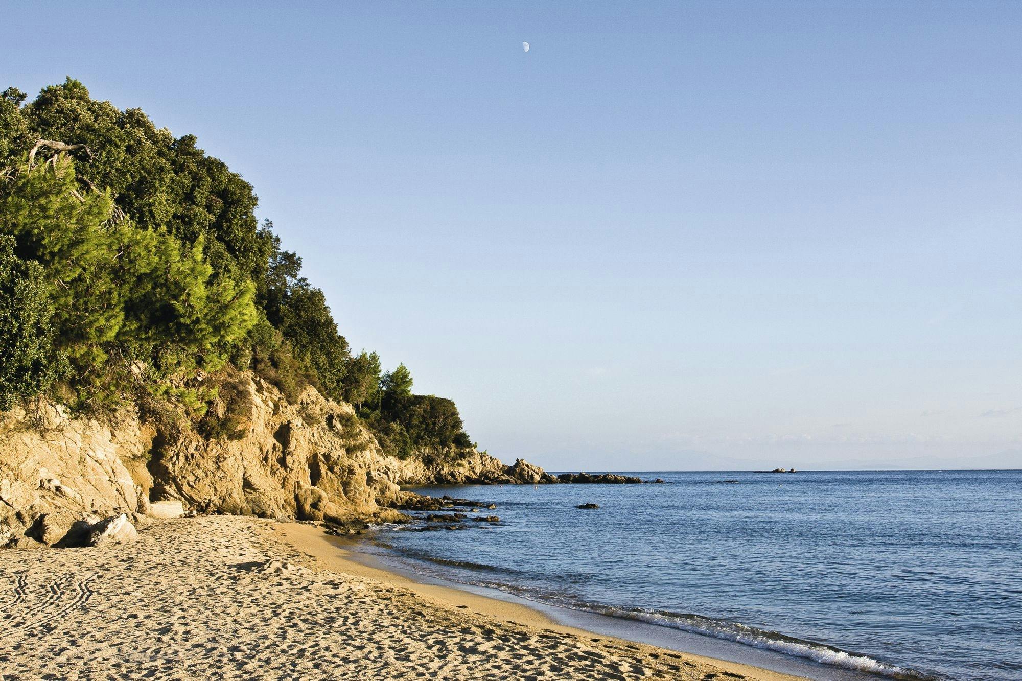 Skiathos dog shelter visit, hill walk and Greek cooking tour