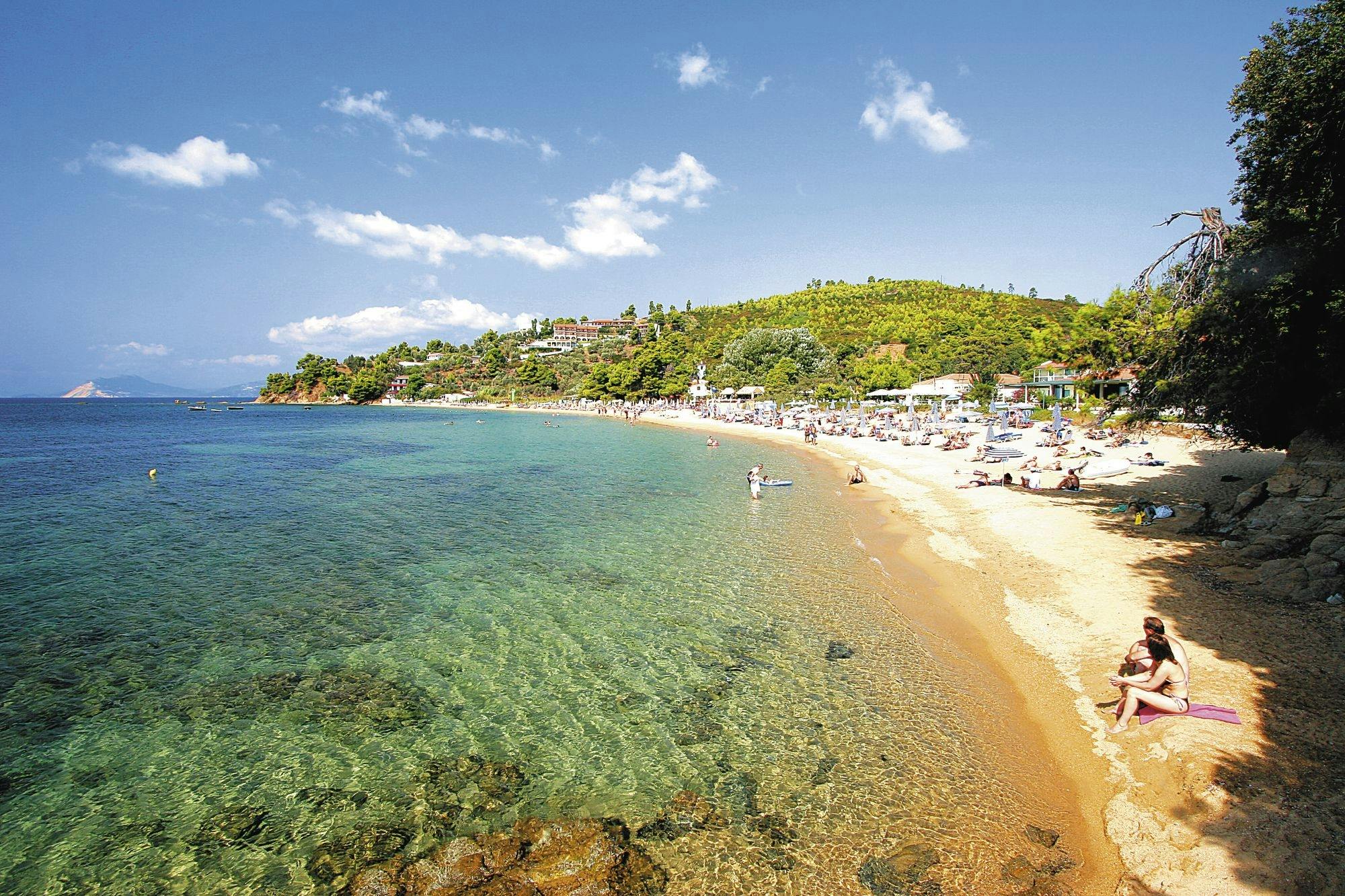 Skiathos dog shelter visit, hill walk and Greek cooking tour