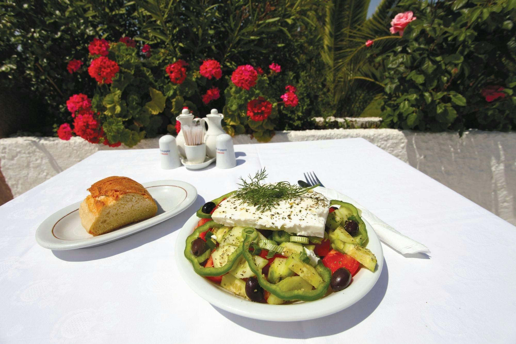 Skiathos dog shelter visit, hill walk and Greek cooking tour