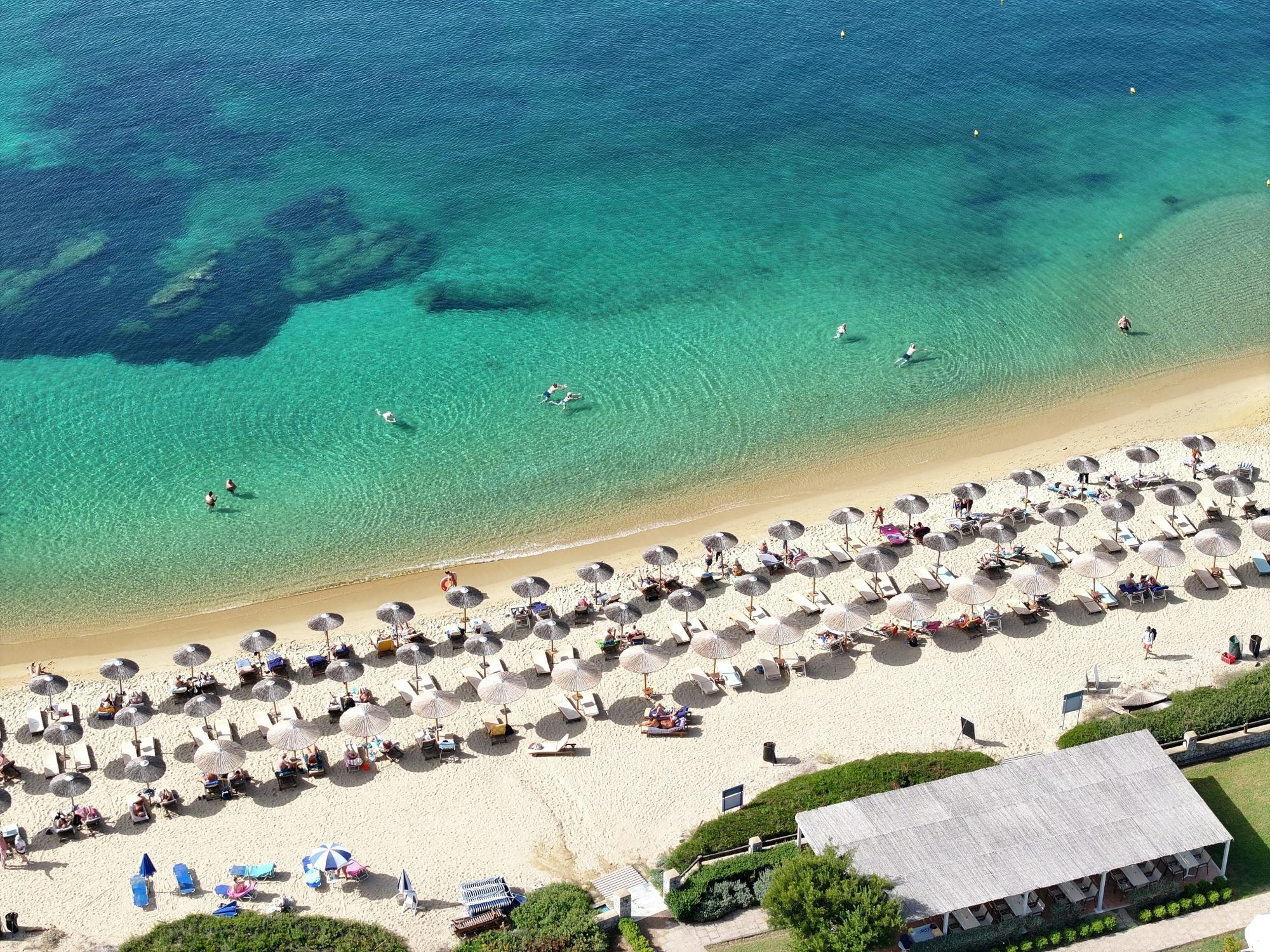 Skiathos dog shelter visit, hill walk and Greek cooking tour