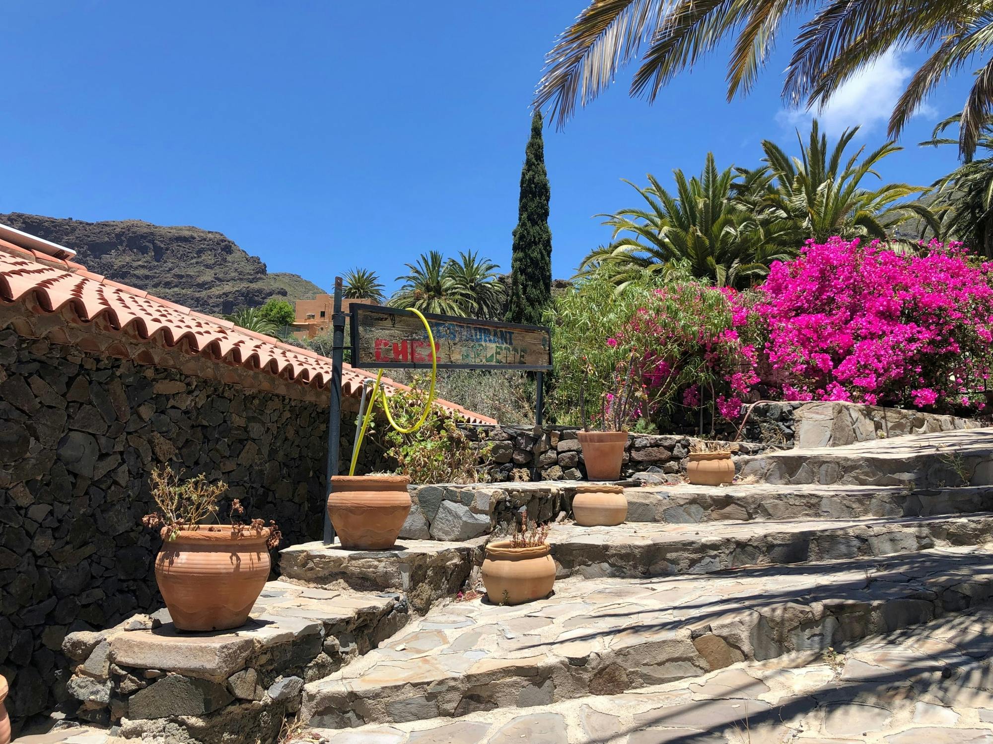 Full-day guided northwest Tenerife hidden secrets tour
