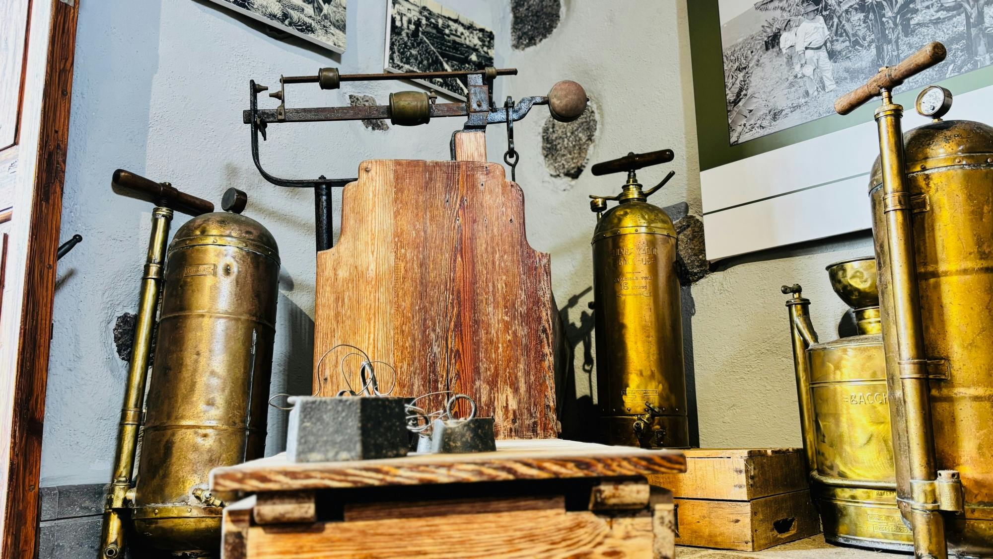 Tenerife discovery excursion - culture & flavours