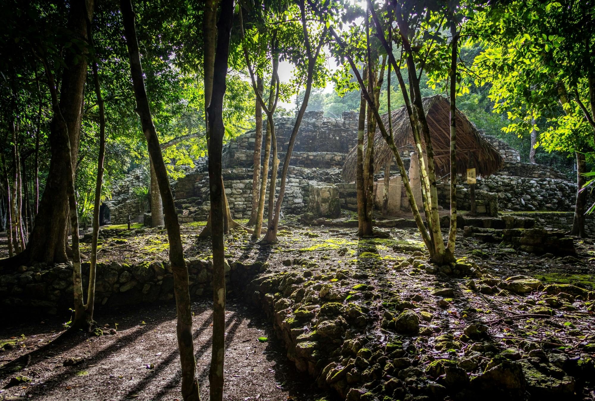 Maya Coba ruins tour with pyramid, ceremony and cenote swim