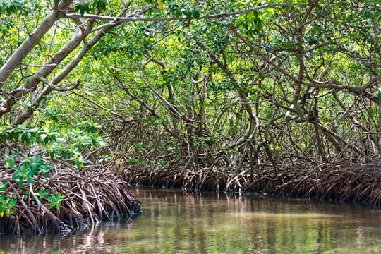 Sian Ka’an Reserve Tour with Boat Trip Entrance