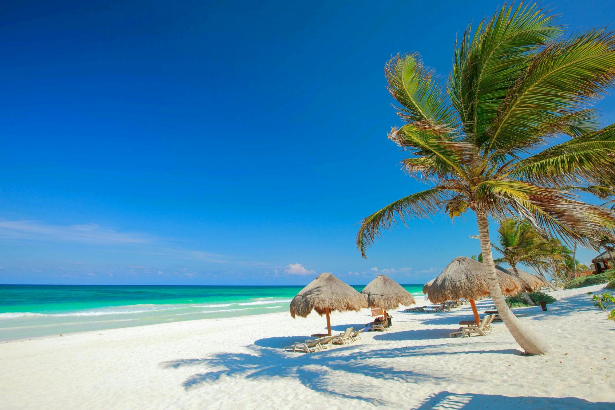 Tulum, cenote swim, turtle snorkelling and beach club combo tour