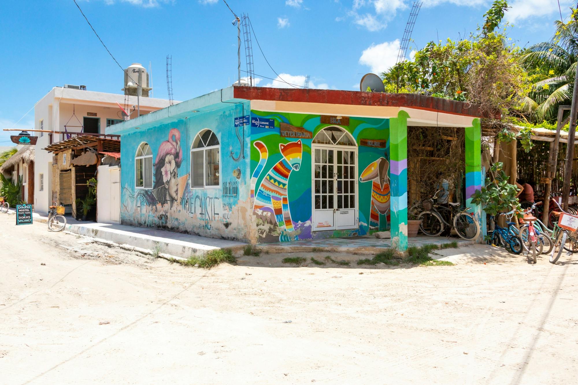 Private Holbox Island boat and buggy tour in Mexico