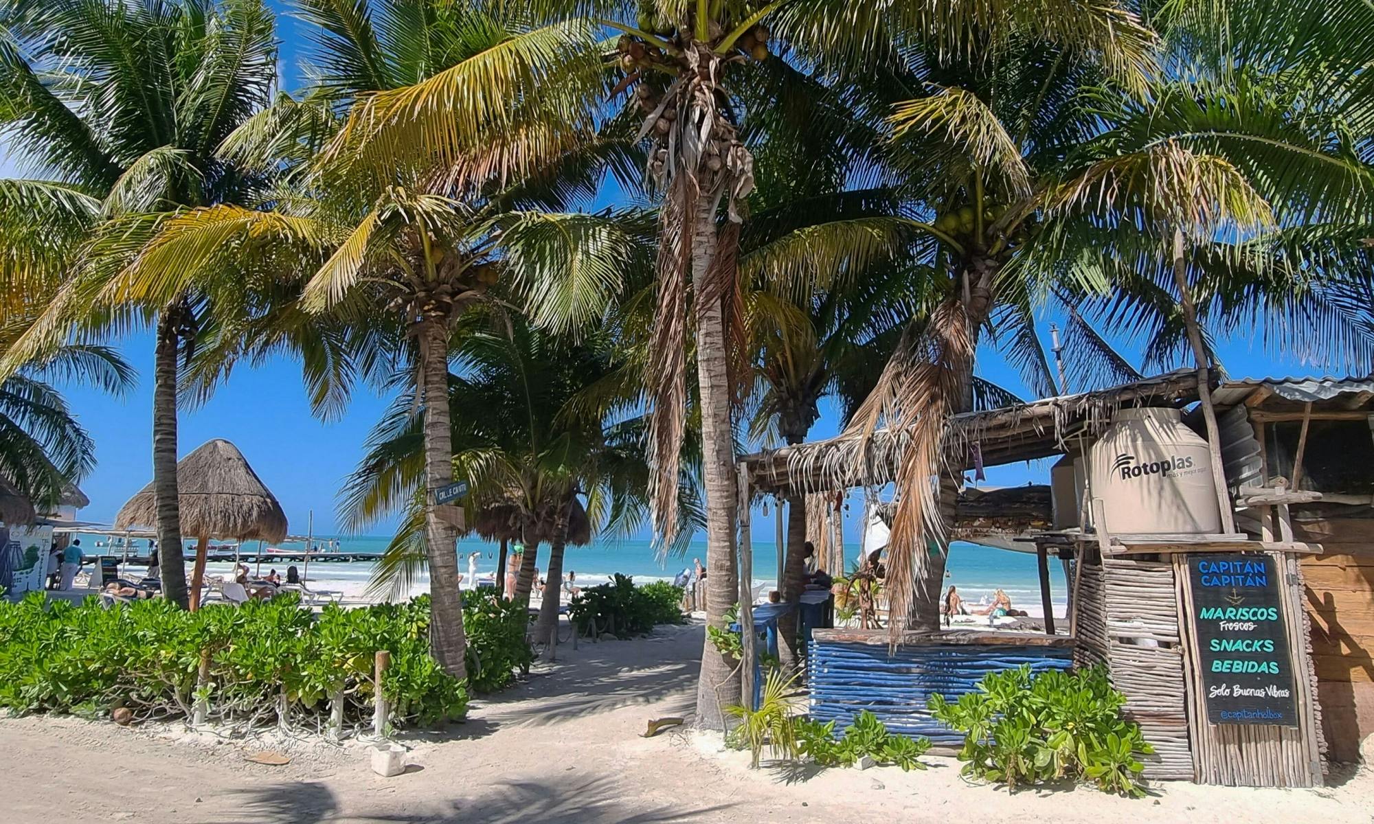 Full-day boat and golf buggy tour of Holbox Island from Chiquila