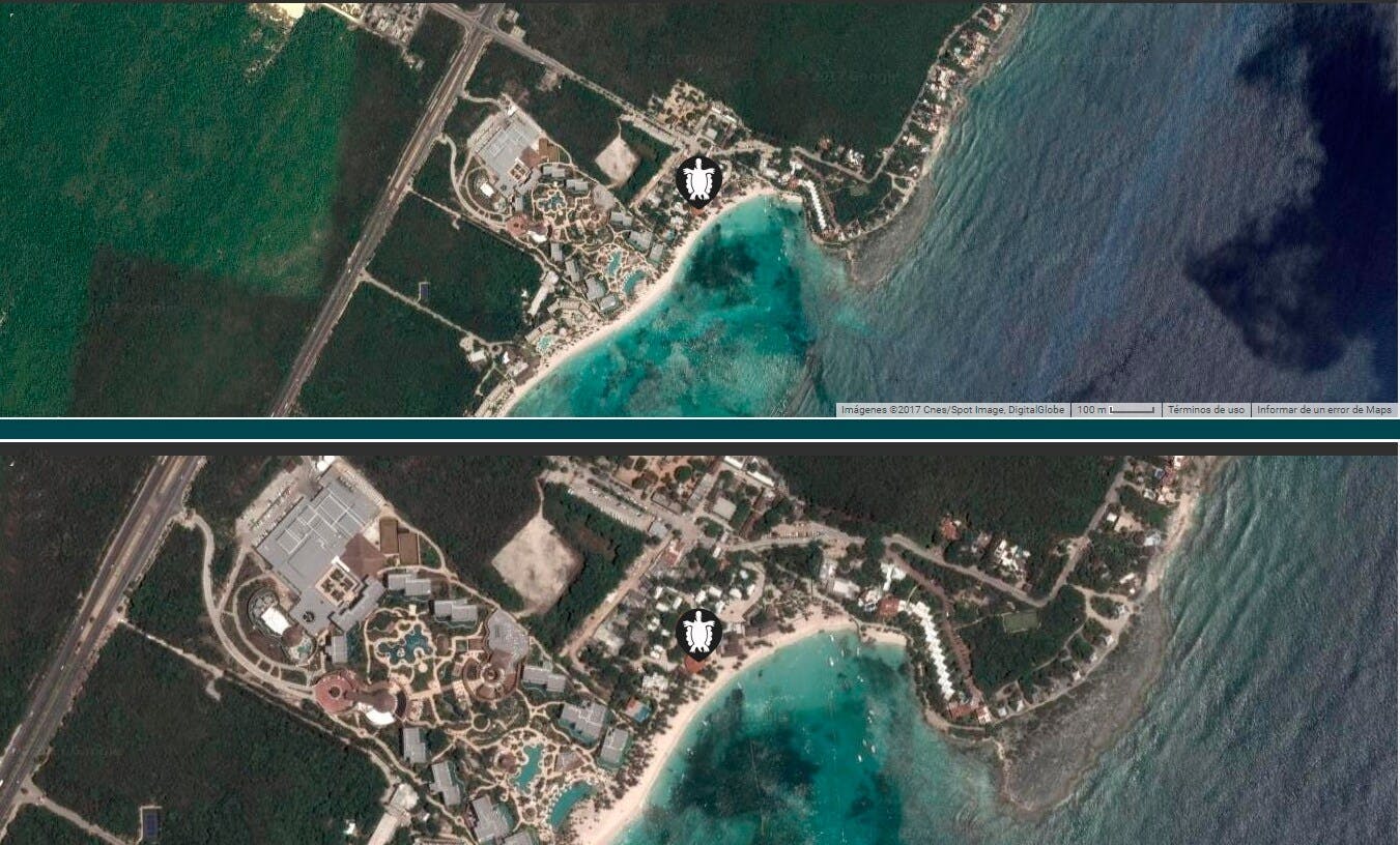 Snorkelling with Turtles and Cenote Swim in Riviera Maya