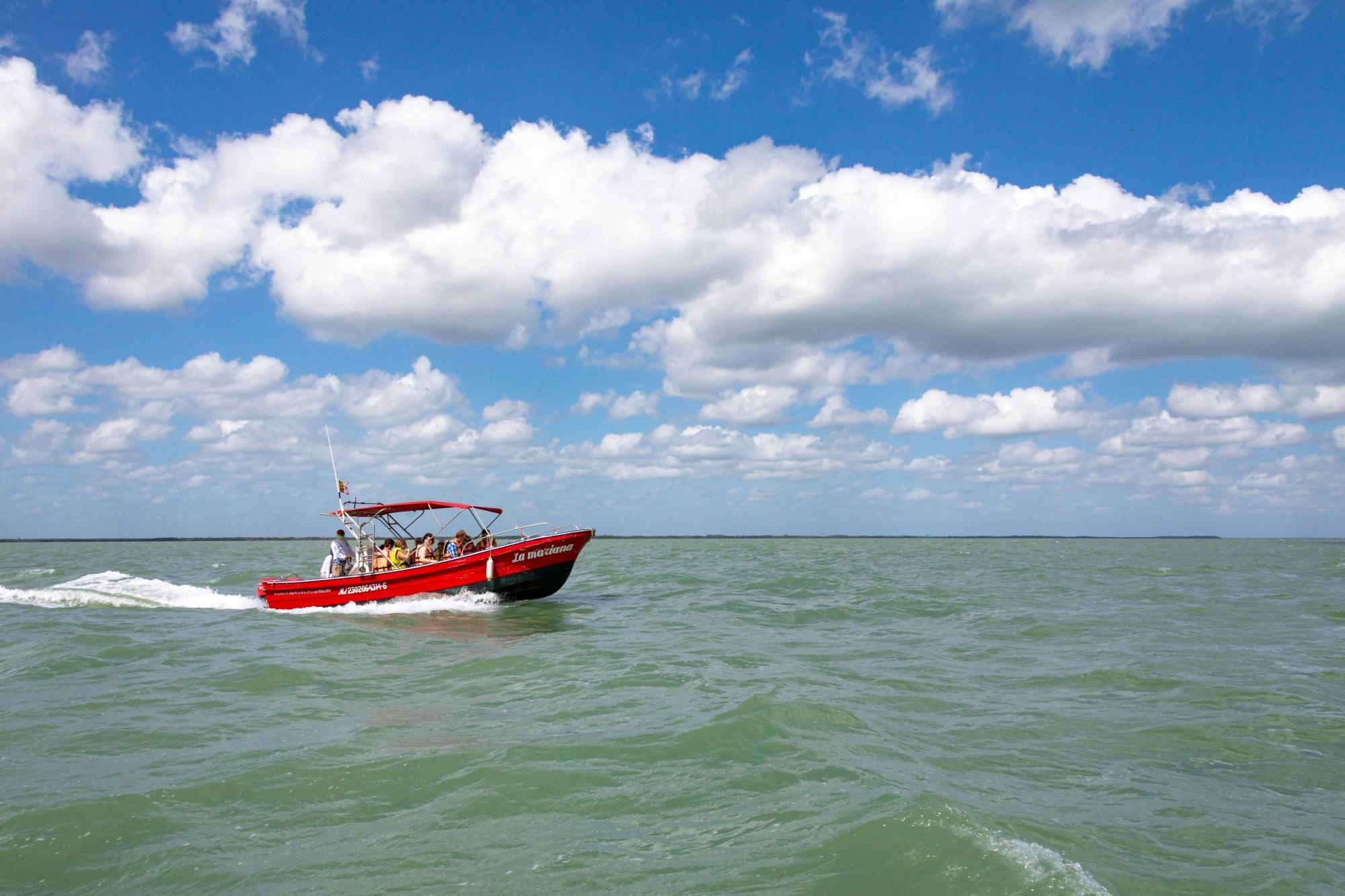 Full-day boat and golf buggy tour of Holbox Island from Chiquila