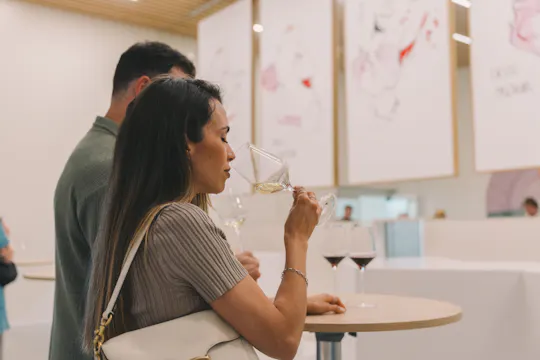 Passe de 48 horas para o WOW World of Wine