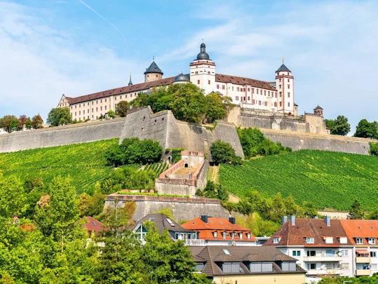 Express walking tour in Würzburg with a local