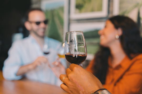 48-godzinny karnet WOW z audioprzewodnikiem po winiarni Fonseca