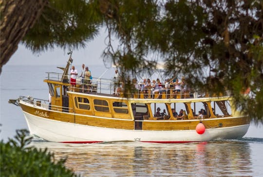 Crociera di un'intera giornata a Rovigno e al fiordo di Leme con pranzo al barbecue