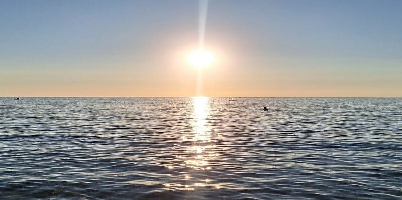 Half-day sunset dolphin-watching cruise from Novigrad