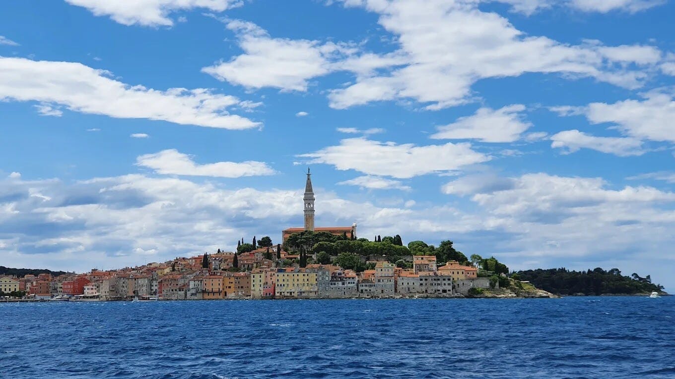 Half-day sunset dolphin-watching cruise from Novigrad