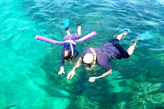 Snorkelling adventure off a secluded island from South Beach