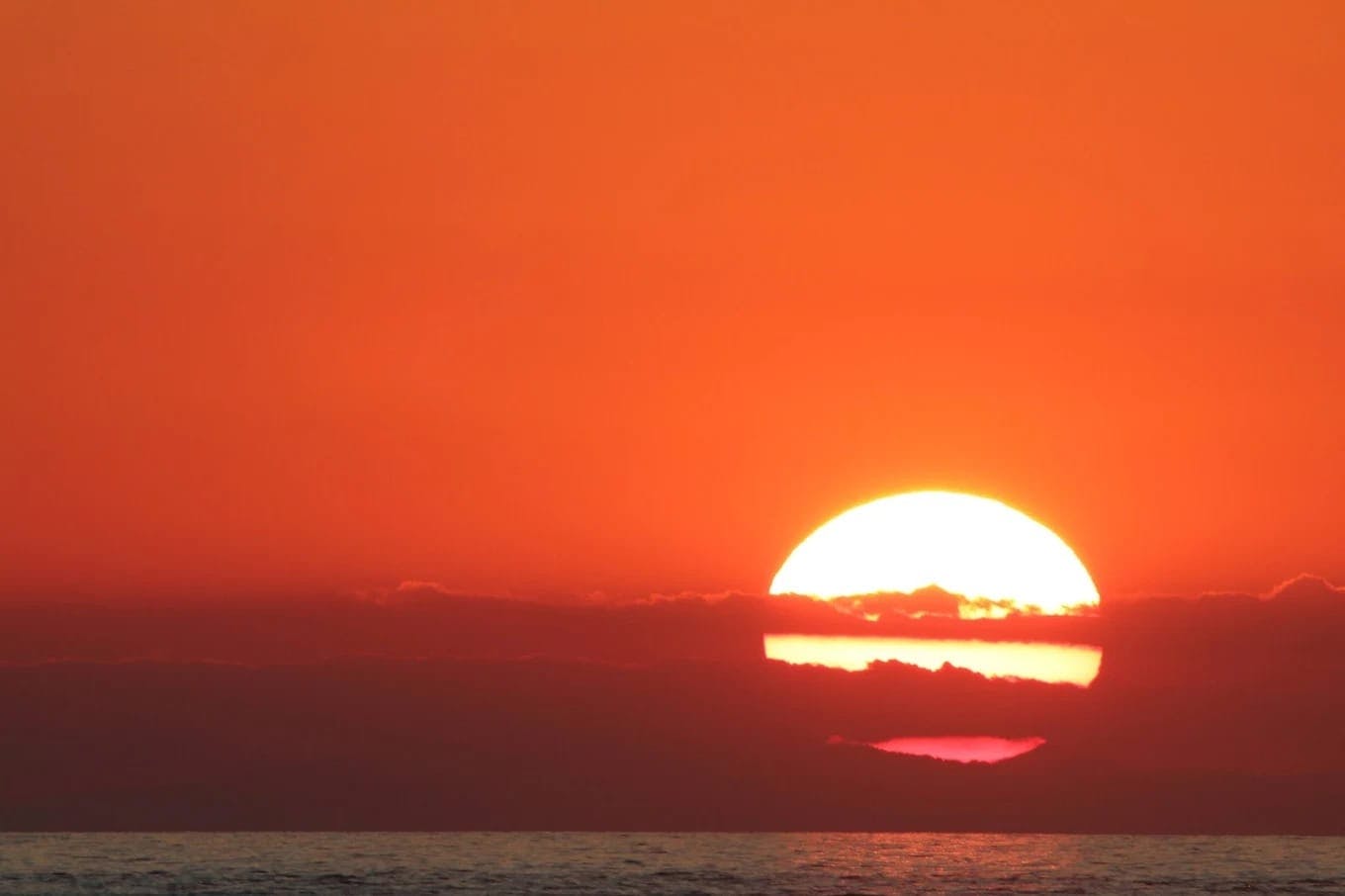 Half-day sunset dolphin-watching cruise from Novigrad