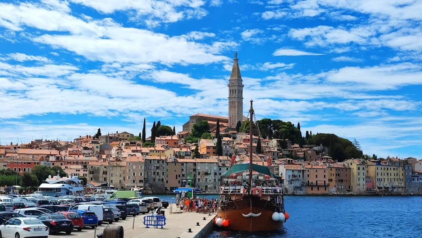 Half-day sunset dolphin-watching cruise from Novigrad