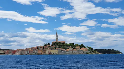 Full-day Rovinj and Lim Fjord cruise with barbecue lunch