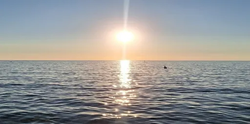 Half-day sunset dolphin-watching cruise from Novigrad