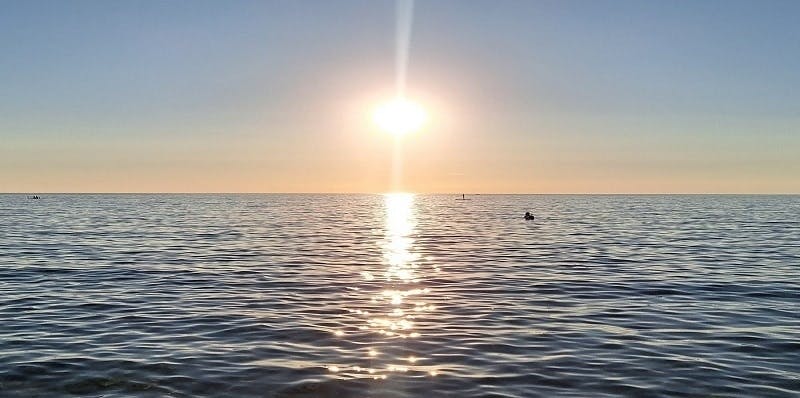 Half-day sunset dolphin-watching cruise from Novigrad