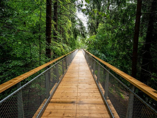Ticket für den Baumkronenweg mit Senda dil Dragun in Laax