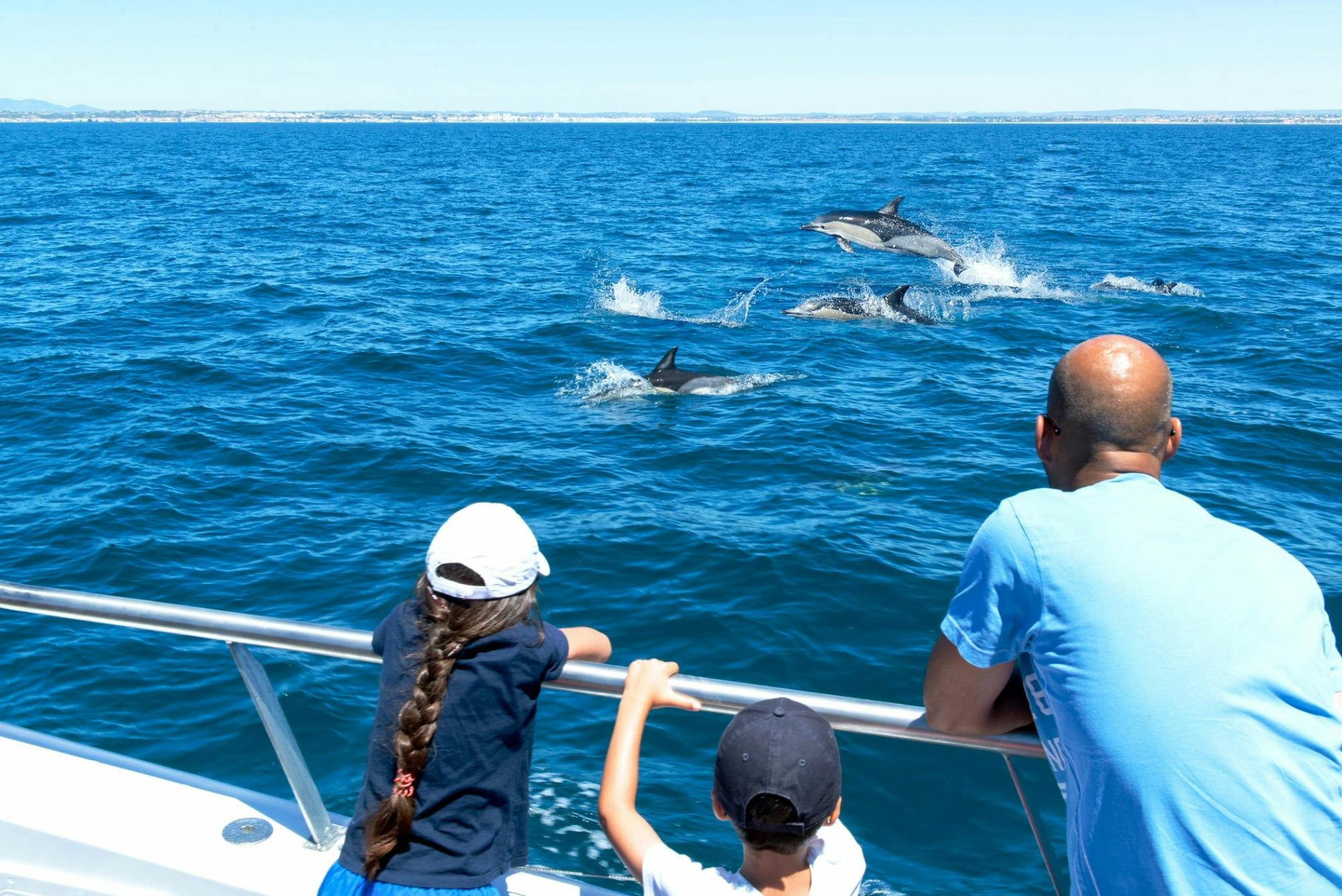 Benagil Cave and dolphin-spotting cruise ticket from Vilamoura