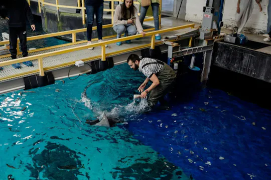 Visita guiada aos bastidores do Oceanário de Lisboa