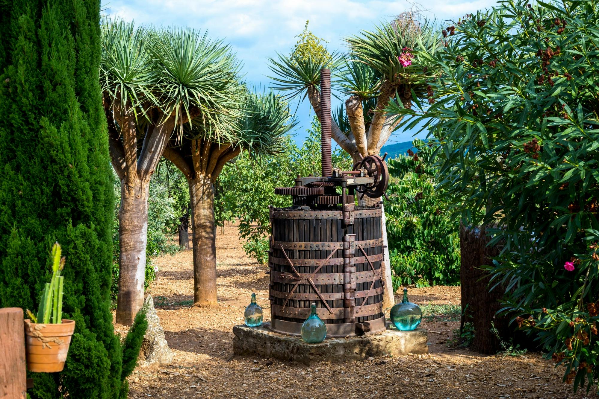 Majorca winery visit with wine and local food tasting