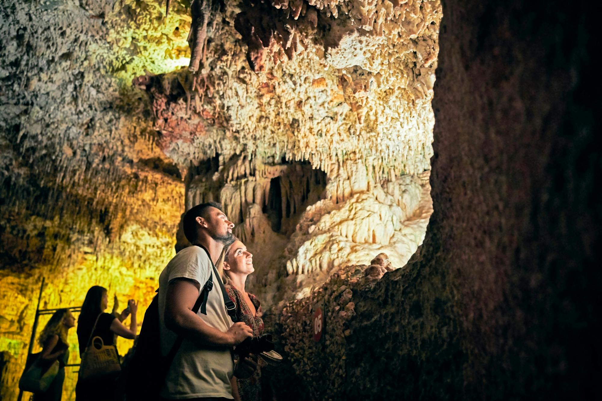 Guided tour of Hams Caves with Dinosaurland visit