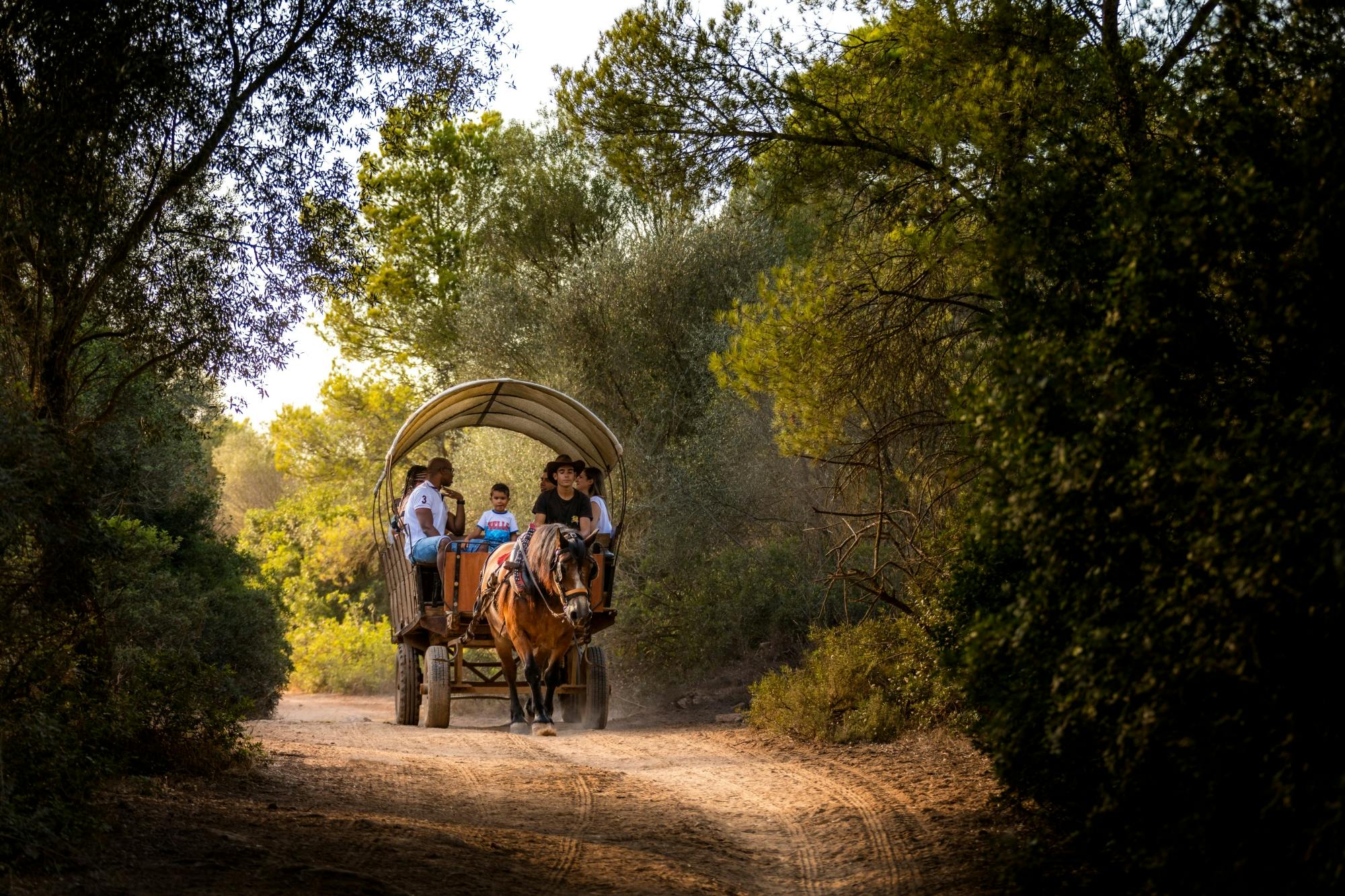 Rancho Grande with BBQ