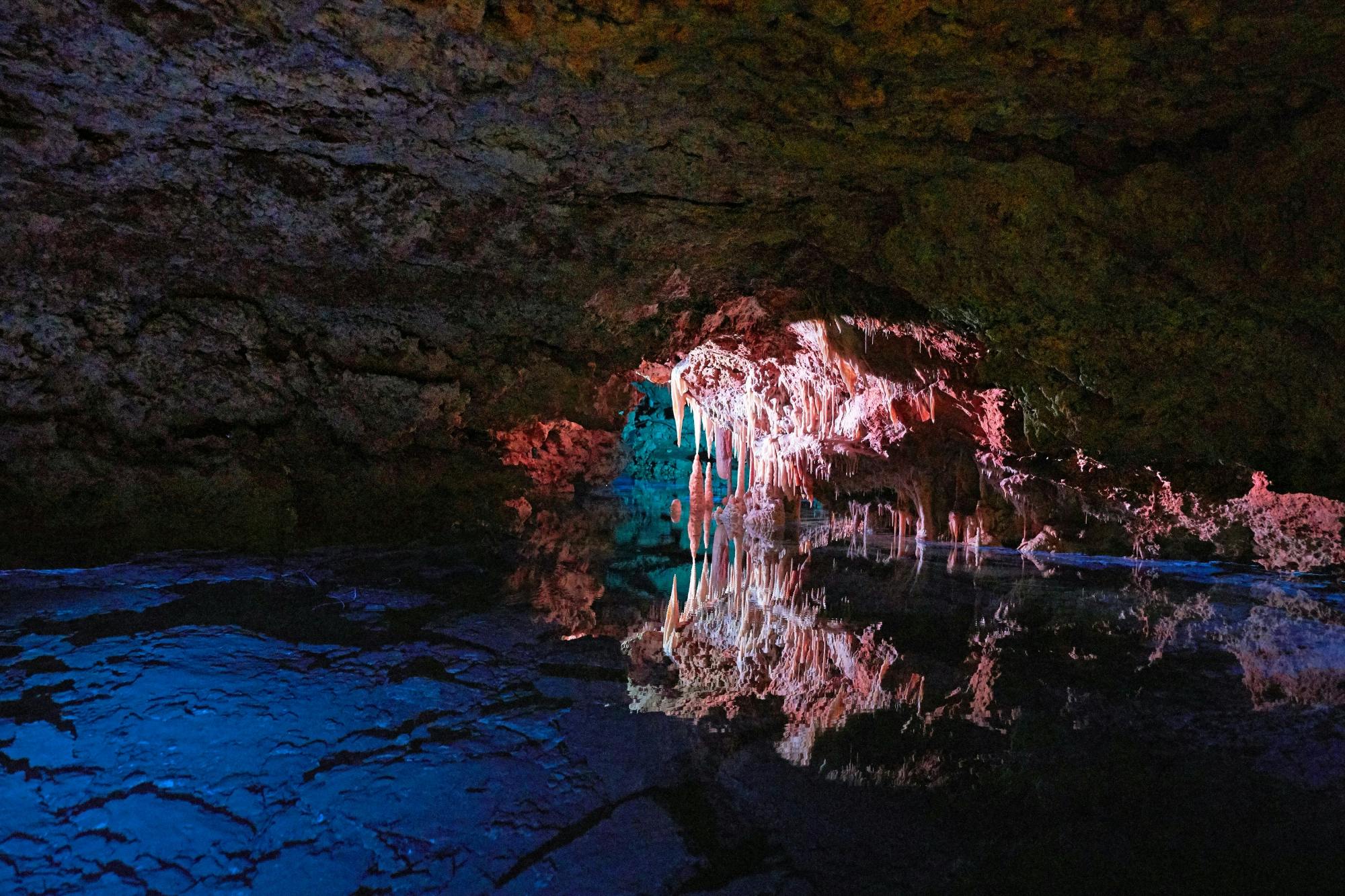 Guided tour of Hams Caves with Dinosaurland visit