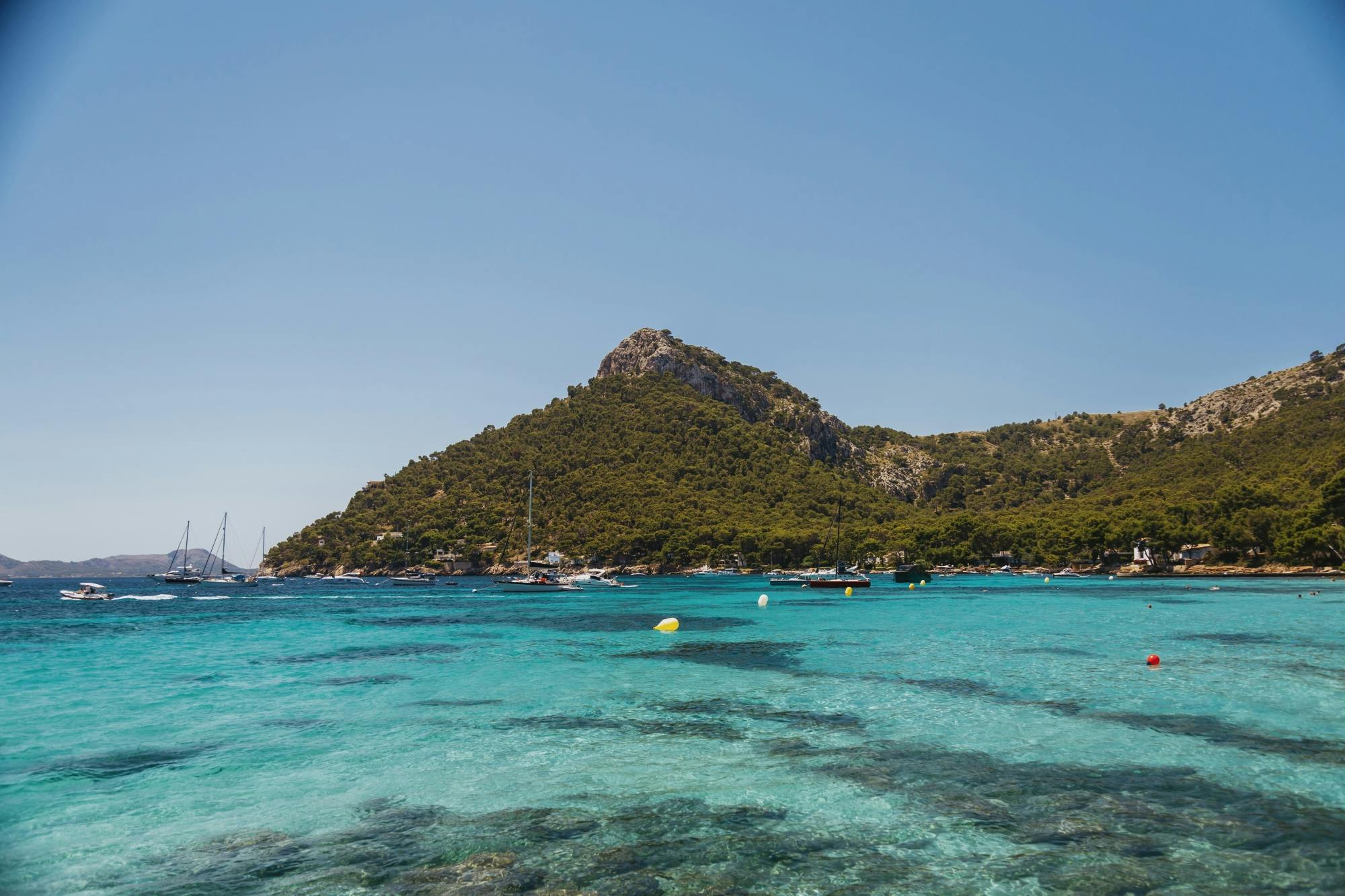 Farmers' market and Formentor tour from northern Majorca