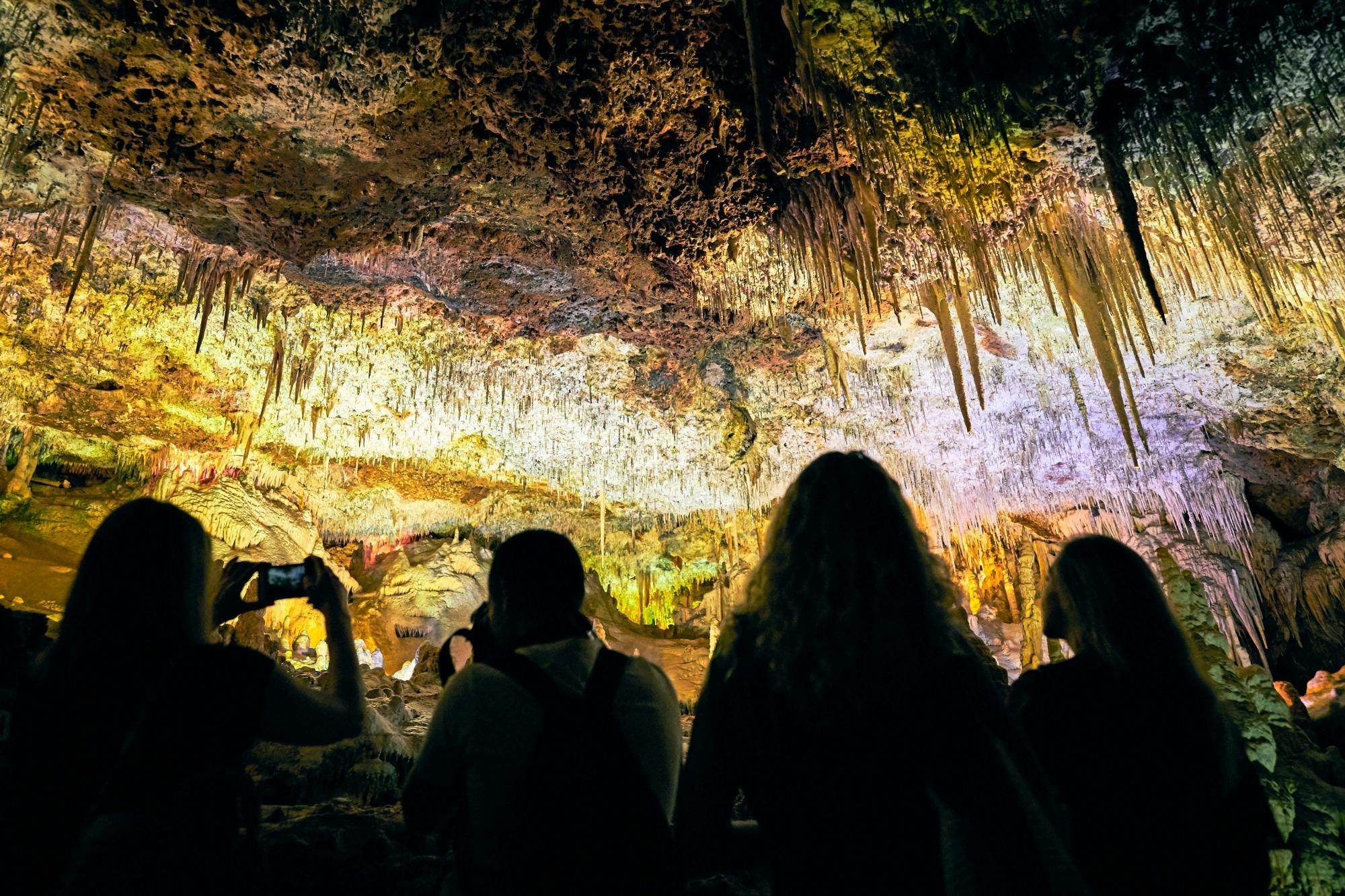 Guided tour of Hams Caves with Dinosaurland visit