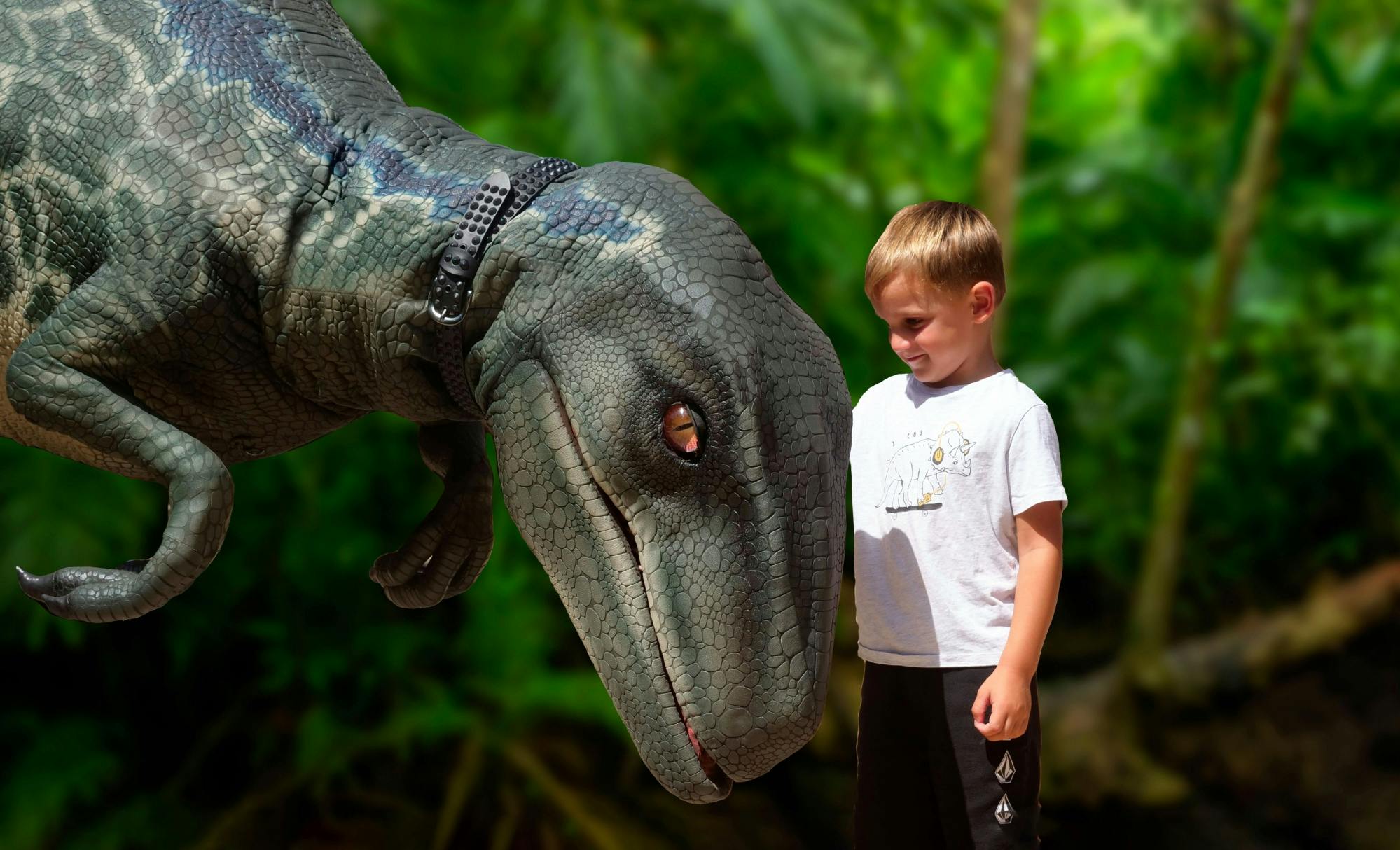 Guided tour of Hams Caves with Dinosaurland visit