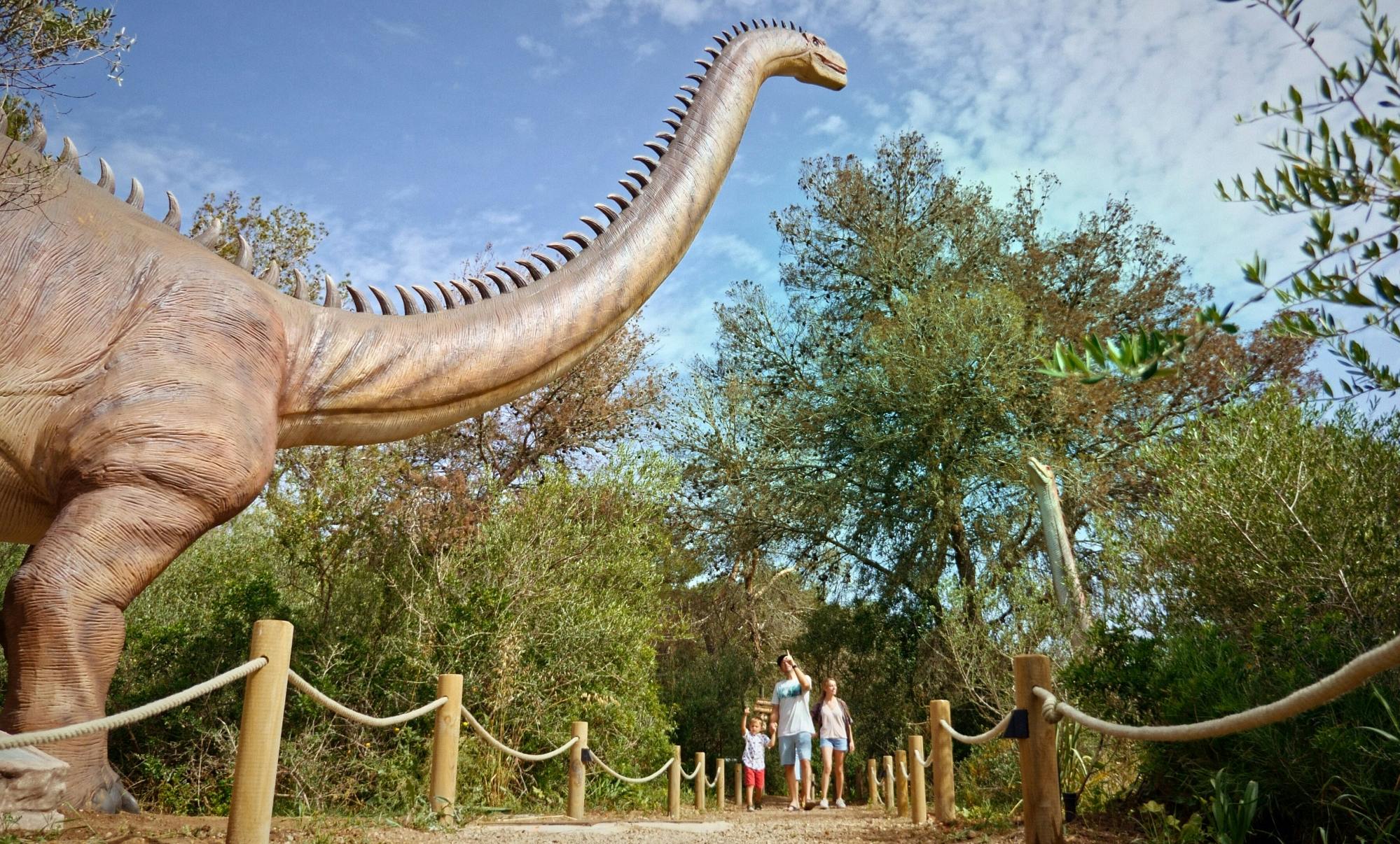 Guided tour of Hams Caves with Dinosaurland visit