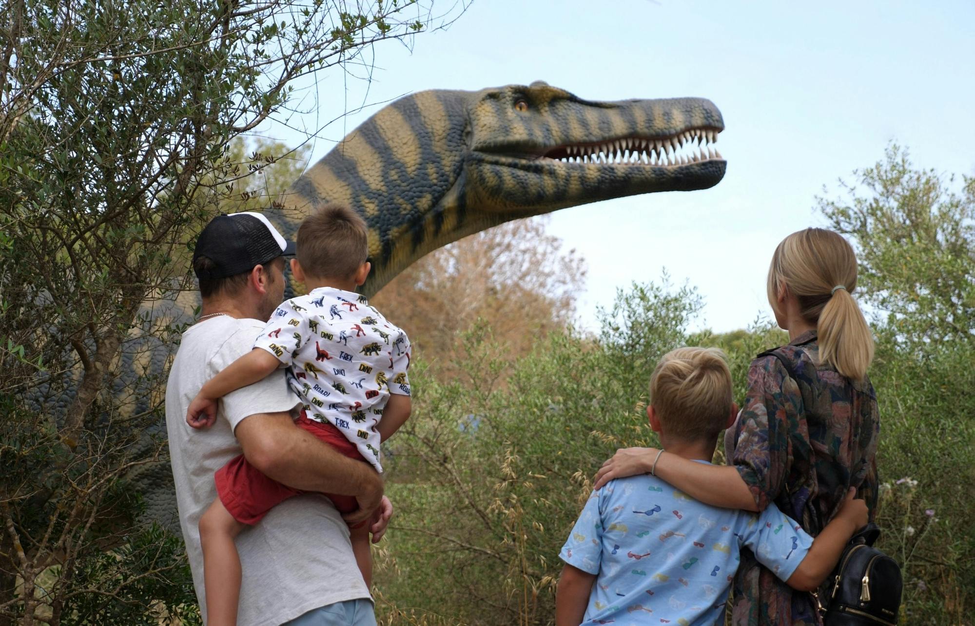 Guided tour of Hams Caves with Dinosaurland visit