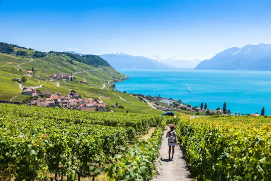 Wine tour in the Lavaux vineyards