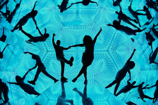 Billet pour le Musée des Illusions de Vienne