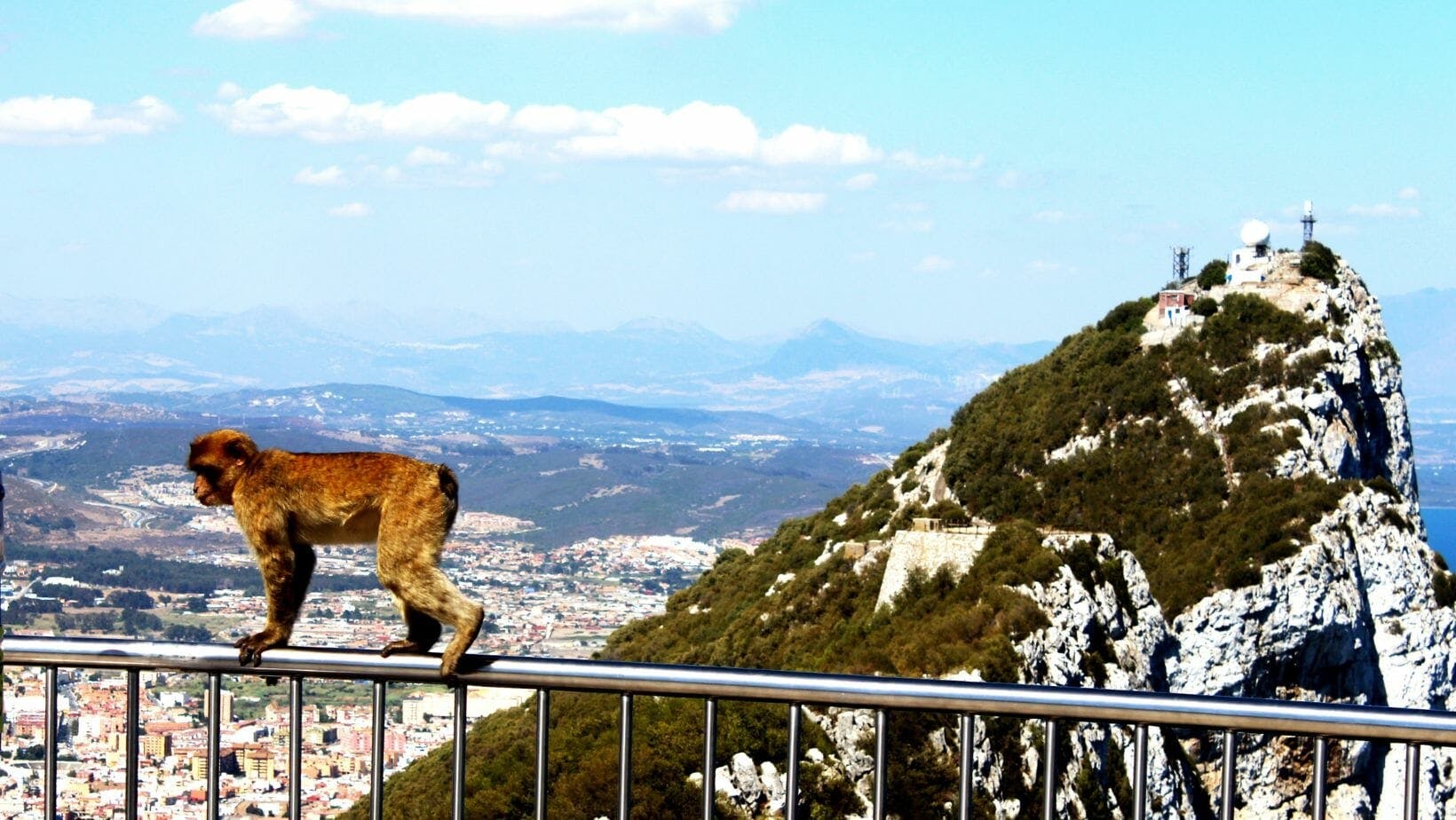 Całodniowa wycieczka z przewodnikiem po Gibraltarze z Malagi